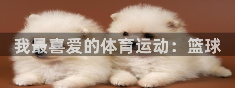 oety欧亿体育官网下载平台注册流程视频:我最喜爱的体育运动