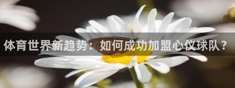 海南oety欧亿体育官网下载发展怎么样:体育世界新趋势:如何