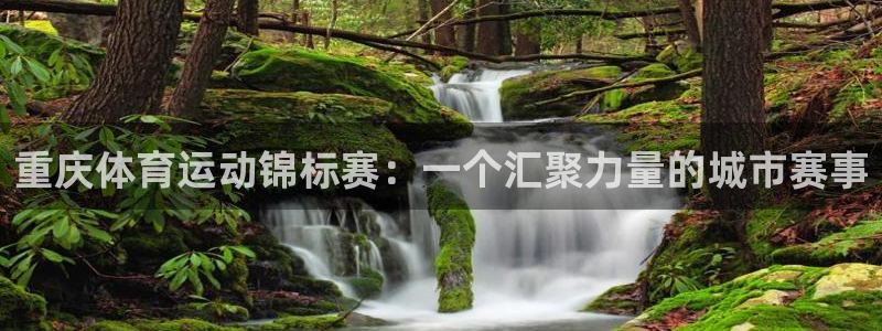 oety欧亿体育官网下载平台:重庆体育运动锦标赛:一个汇聚力