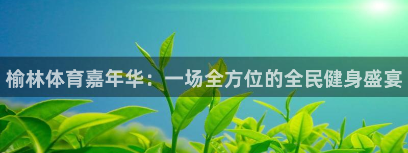 oety欧亿体育官网下载招商:榆林体育嘉年华:一场全方位的全